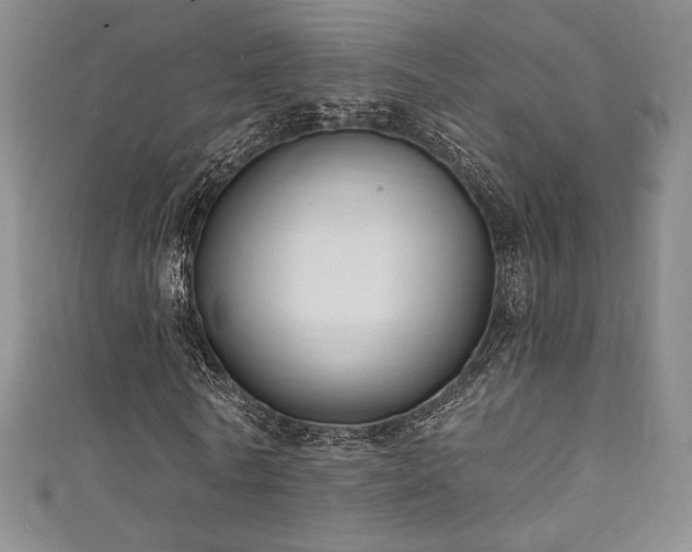 X0000111830770200907231316