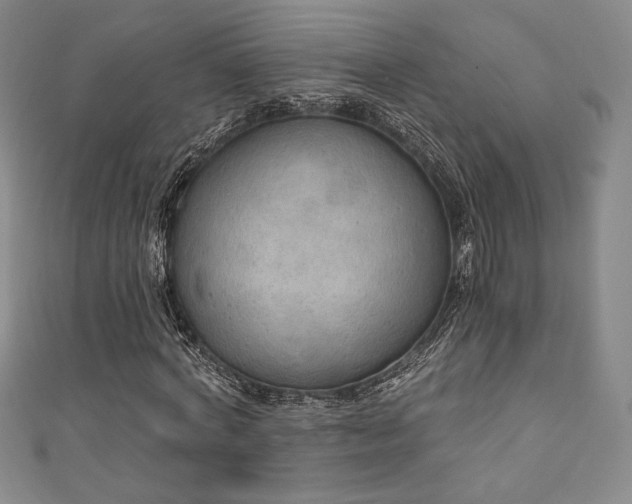 X0000111830772200907231316