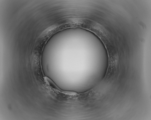 X0000111830773200907231316