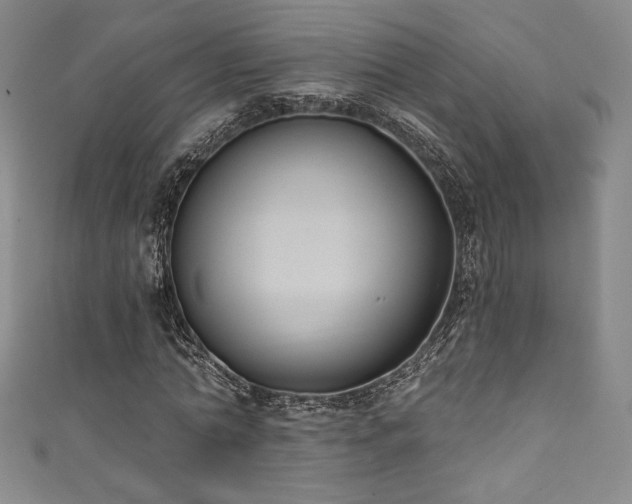X0000111830774200907231316