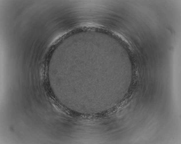 X0000111830775200907231316