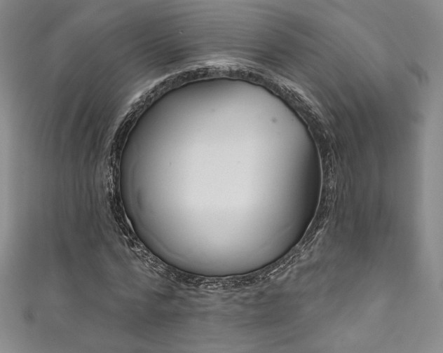 X0000111830776200907231316