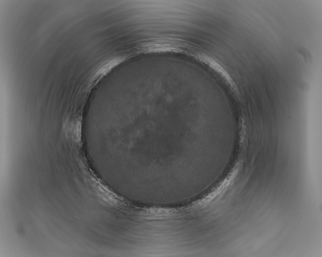 X0000111830777200907231316