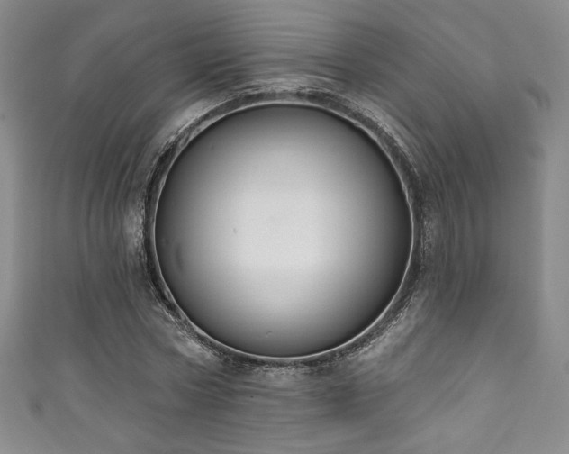 X0000111830778200907231316