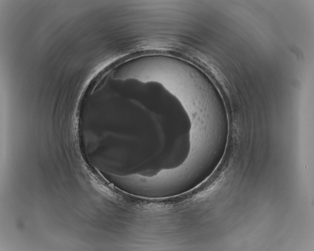 X0000111830779200907231316