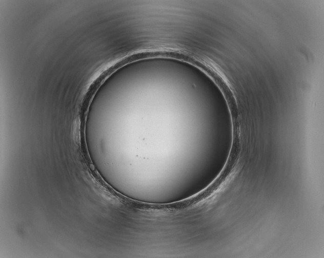 X0000111830781200907231316
