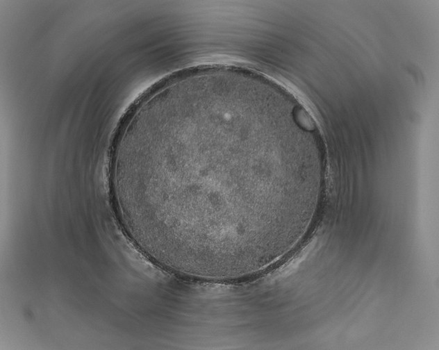 X0000111830783200907231316