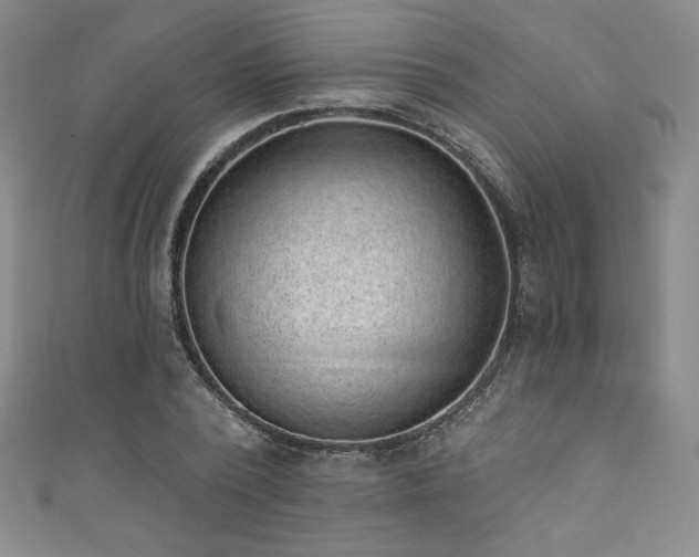 X0000111830784200907231316