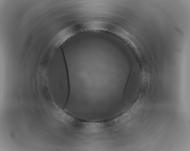 X0000111830785200907231316