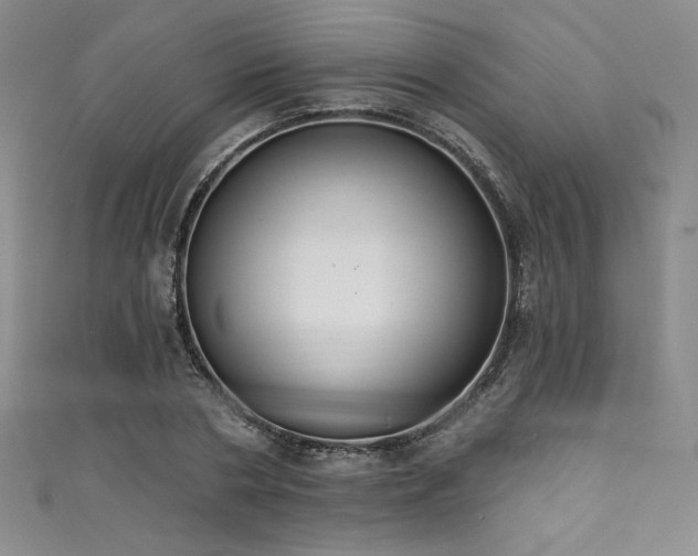 X0000111830786200907231316