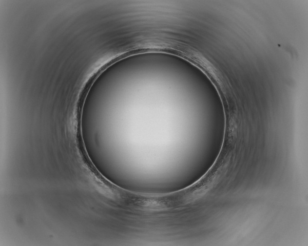 X0000111830787200907231316