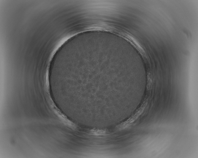 X0000111830788200907231316