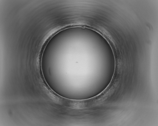 X0000111830789200907231316