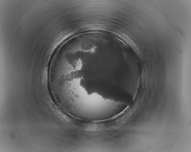X0000111830790200907231316