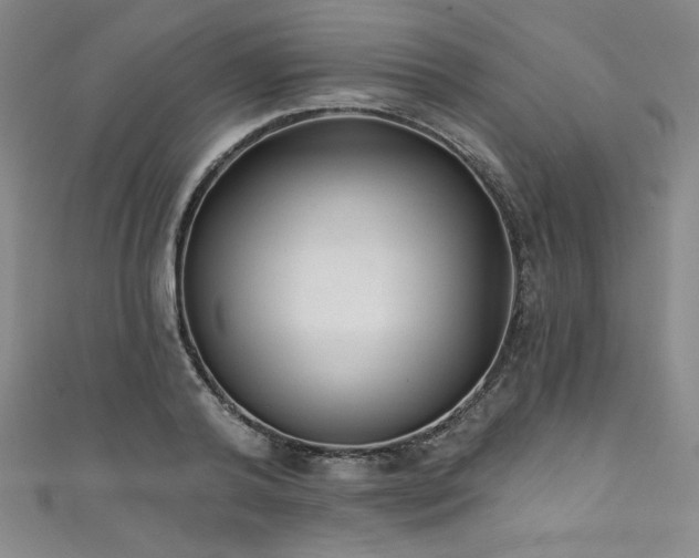 X0000111830792200907231316