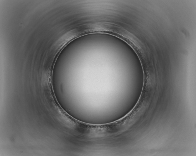 X0000111830793200907231316