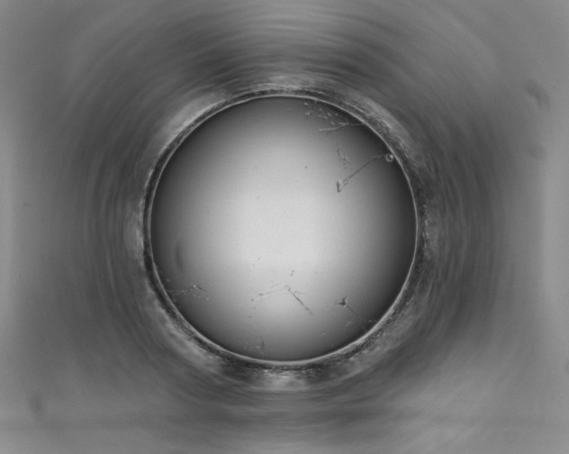 X0000111830794200907231316