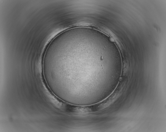 X0000111830795200907231316