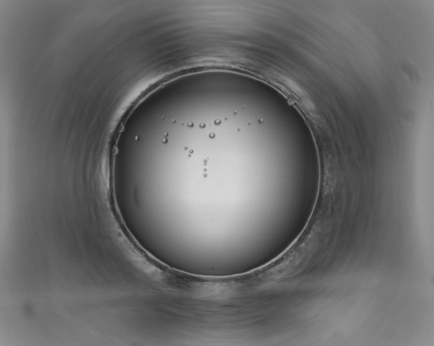 X0000111830796200907231316