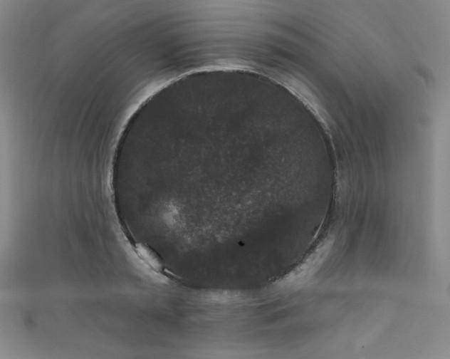 X0000111830797200907231316