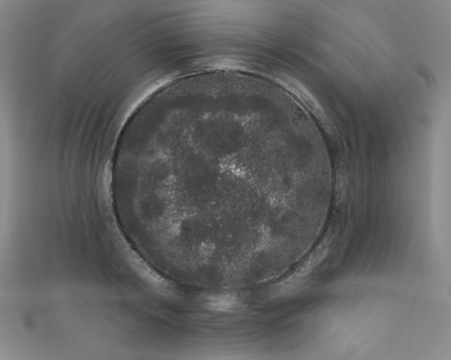 X0000111830798200907231316