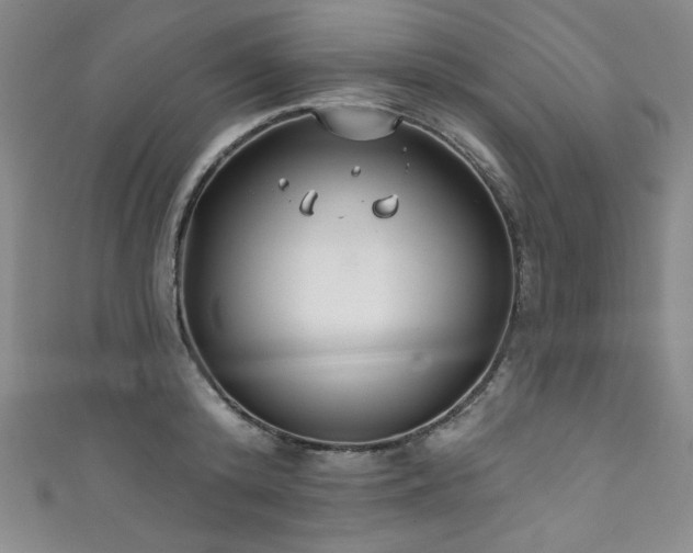 X0000111830800200907231316
