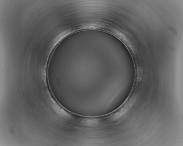X0000111830802200907231316