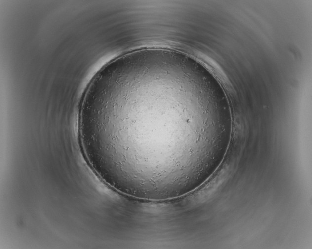 X0000111830804200907231316