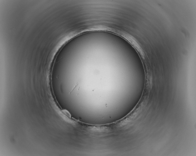 X0000111830805200907231316