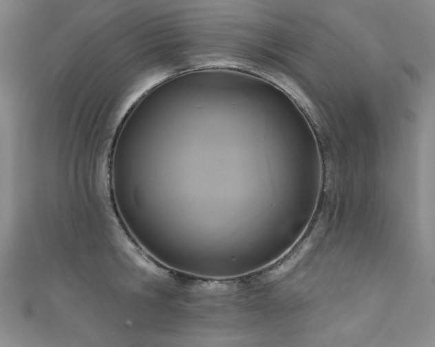 X0000111830806200907231316