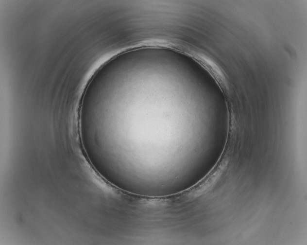 X0000111830808200907231315