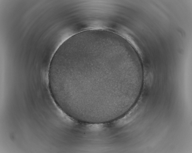 X0000111830810200907231315