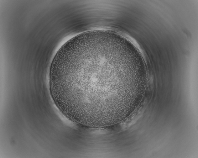 X0000111830811200907231315