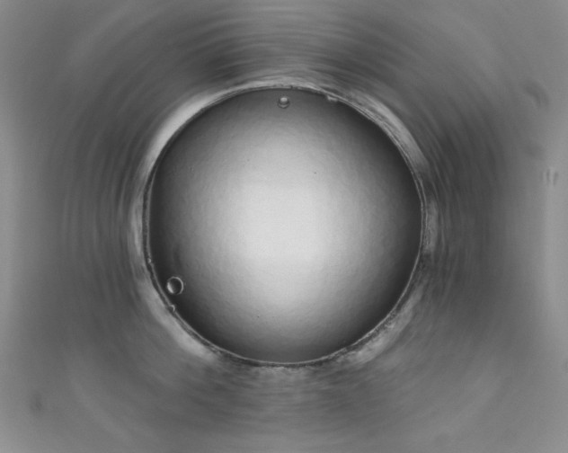 X0000111830812200907231315