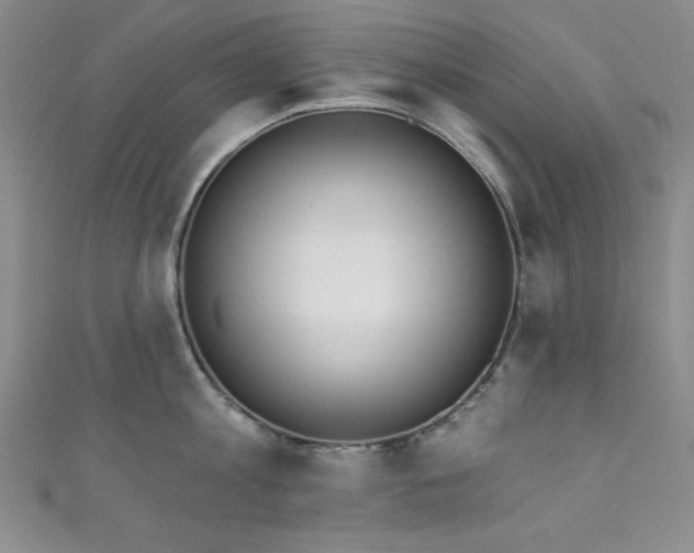 X0000111830813200907231315
