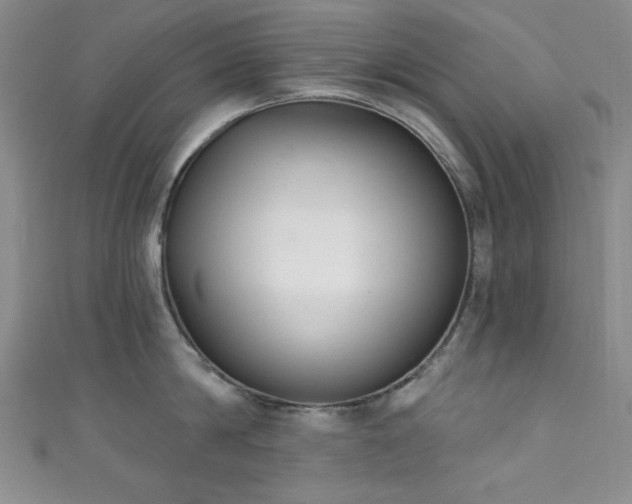 X0000111830814200907231315