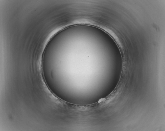X0000111830815200907231315