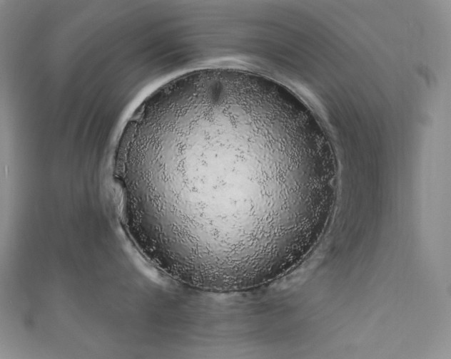 X0000111830816200907231315