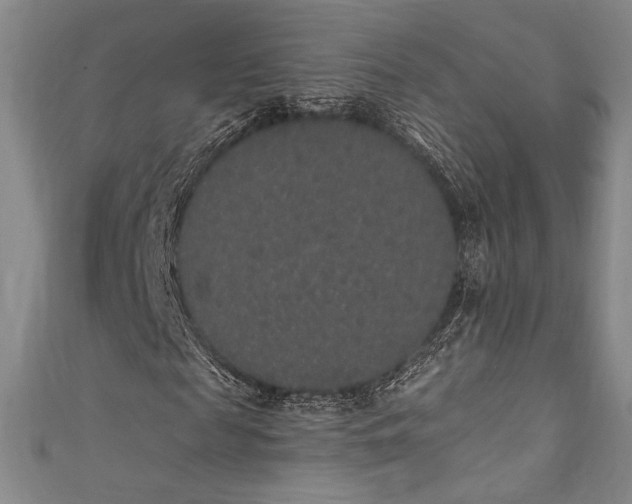 X0000111830817200907231315