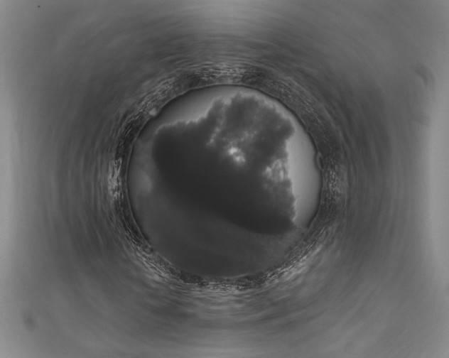 X0000111830818200907231315