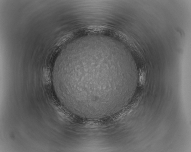 X0000111830819200907231315