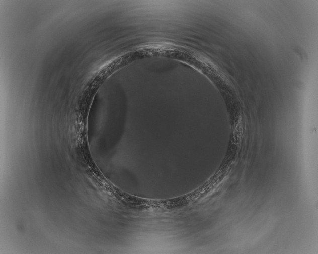 X0000111830822200907231315