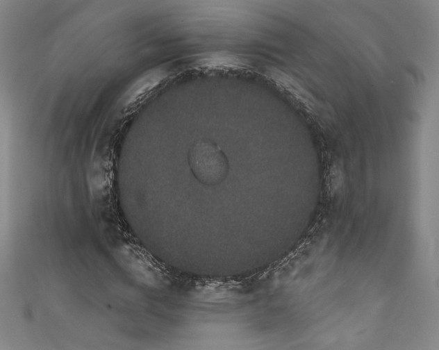 X0000111830824200907231315