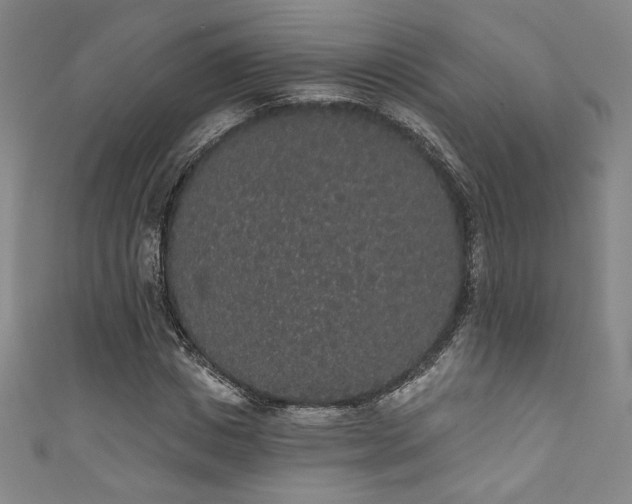 X0000111830825200907231315
