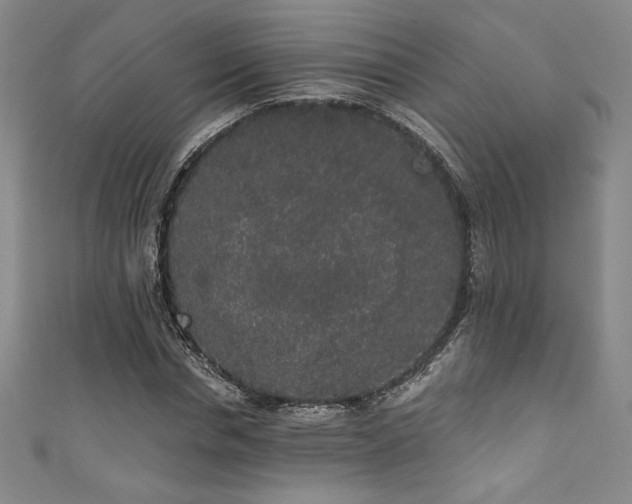 X0000111830826200907231315
