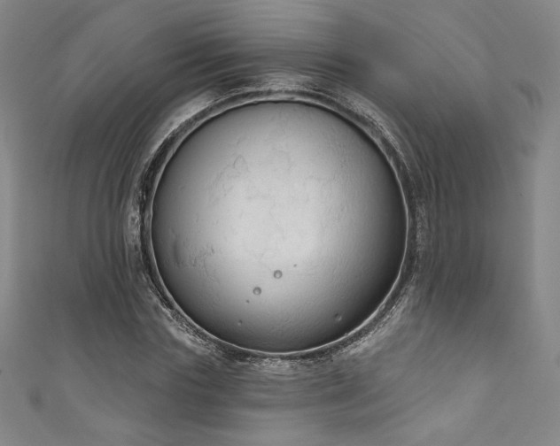 X0000111830827200907231315