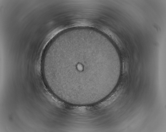 X0000111830828200907231315