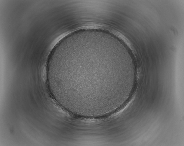 X0000111830829200907231315