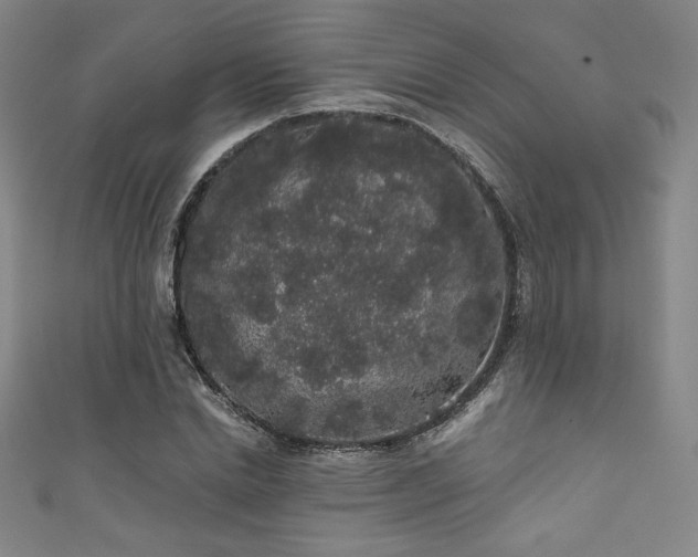 X0000111830830200907231315