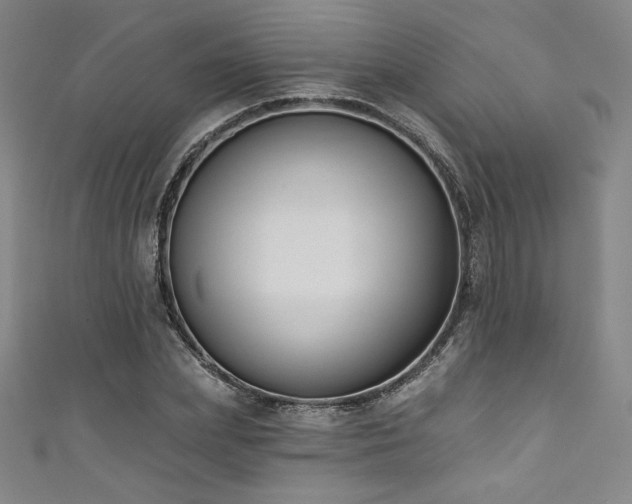 X0000111830831200907231315